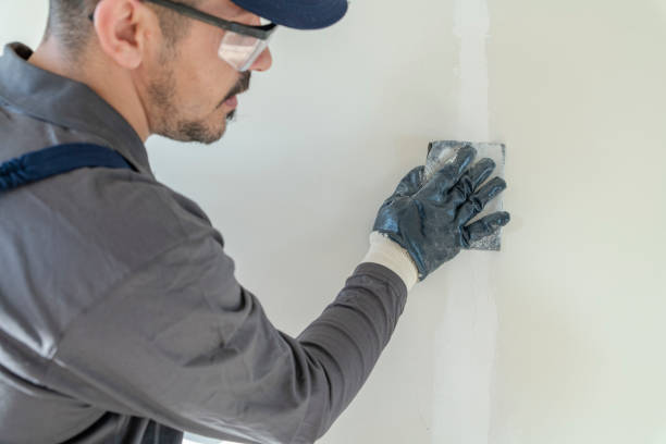 Best Attic Mold Removal  in Kerrville, TX